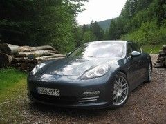 A Porsche in a fir-tree forest. Very German