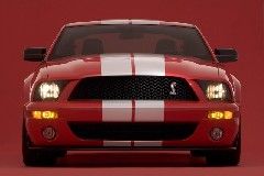 Ford Shelby Cobra Mustang 500
